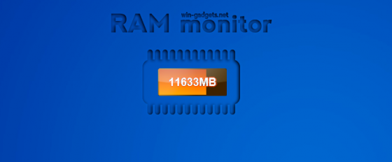 RAM monitor